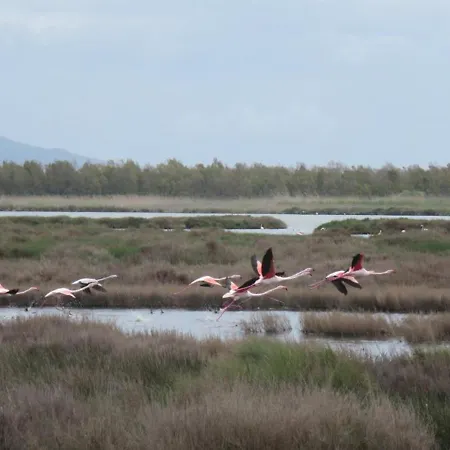 Penzion Memo's Arborea