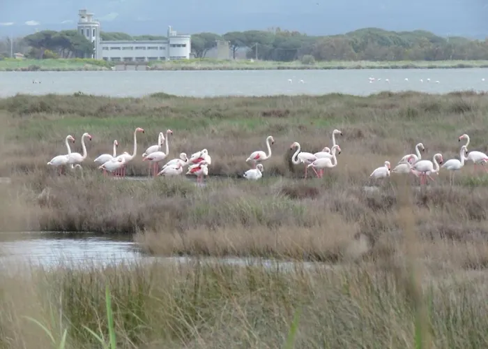 Memo's Vendégház 4*